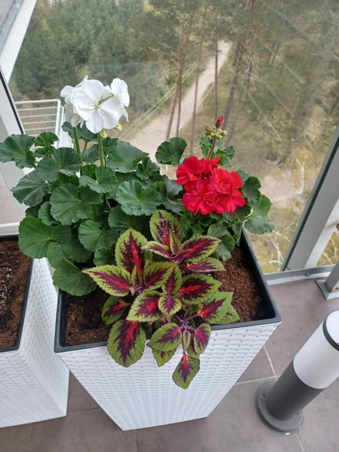 Apartament Z Widokiem Na Morze Dziwnówek Extérieur photo